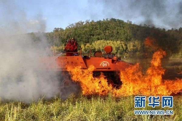 【動畫】森林草原防火“十不準(zhǔn)”“五不燒”！這些安全知識要牢記